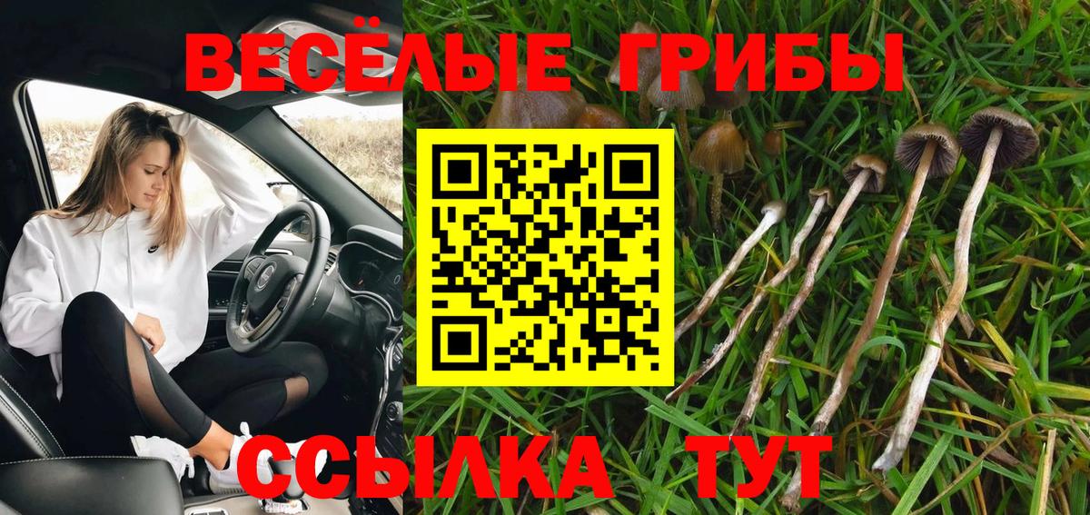 Псилоцибиновые грибы мухоморы  Вход с VPN  Псилоцибиновые грибы мухоморы  как найти закладки  Братск 